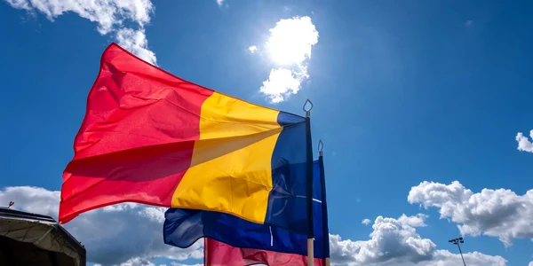Drapel Romania MAPN FOTO MAPN jpg