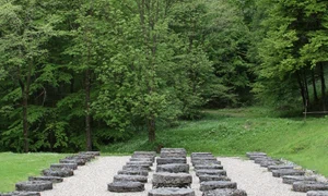 La Sarmizegetusa Regia, cu Vladimir Brilinsky jpeg