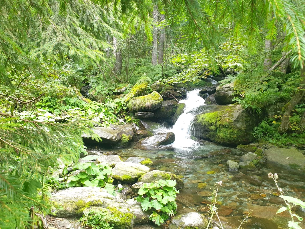 traseu spre Cascada Bâlea (1) jpeg