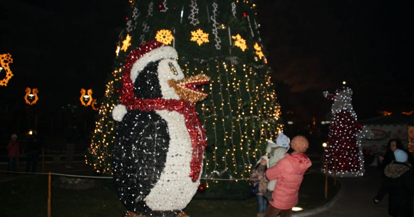Pinguinul electric