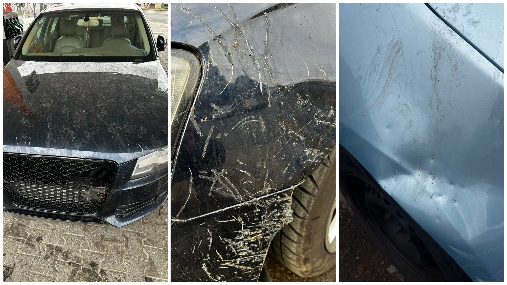 O haită de câini a distrus patru autoturisme în Arad: „Peste 6.000 de euro ne va costa repararea mașinii”