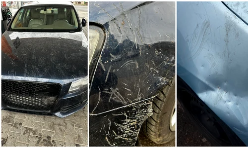 Masini distruse de caini la Arad FOTO: Aradon