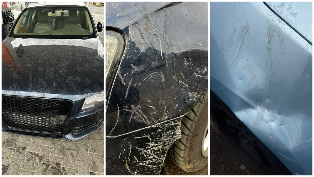 O haită de câini a distrus patru autoturisme în Arad: „Peste 6.000 de euro ne va costa repararea mașinii”