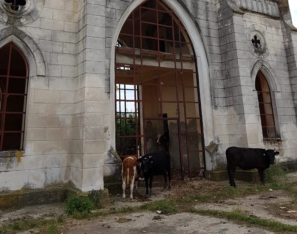 Palatul a devenit grad pentru vite FOTO: Primăria Munteni