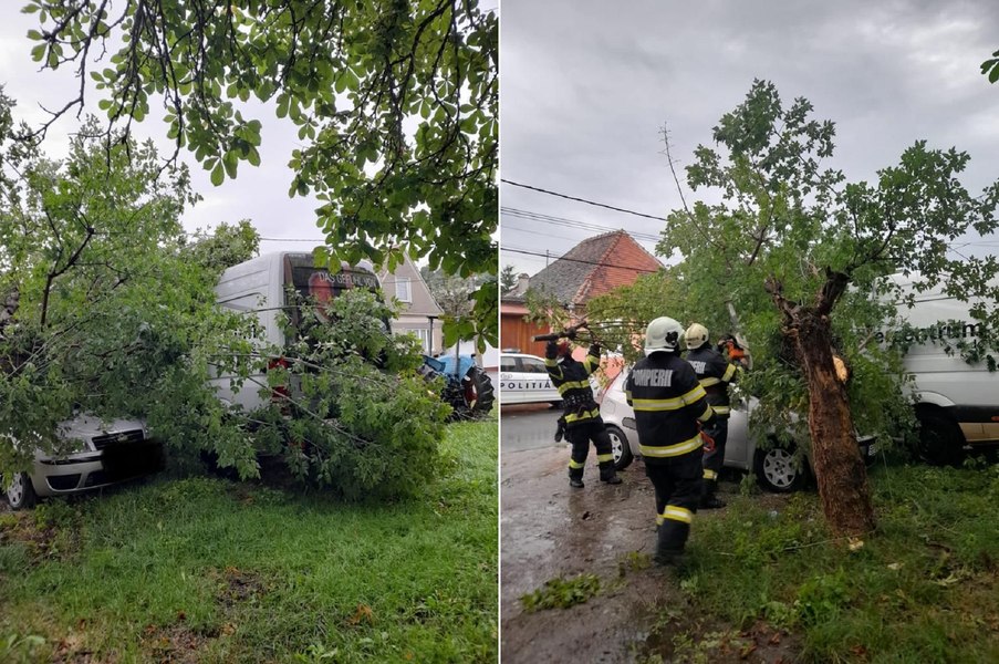 Codul Roșu de vreme rea la Sibiu. Copaci și cabluri electrice căzute pe carosabil sau peste mașini