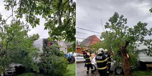 Crengi căzute peste mașini în Agnita Sibiu Foto ISU Sibiu