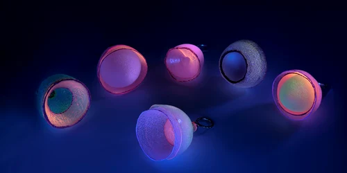 Andreia Gabriela Popescu  "Spectrum  Vowel colors” Inele  Photo credit Stefan Vartolomei