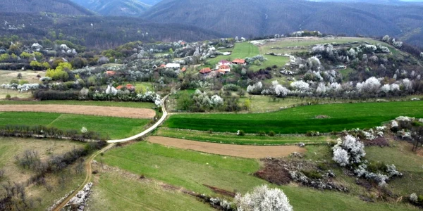 satul cutin dumbrava ciulpaz foto daniel guta adevarul