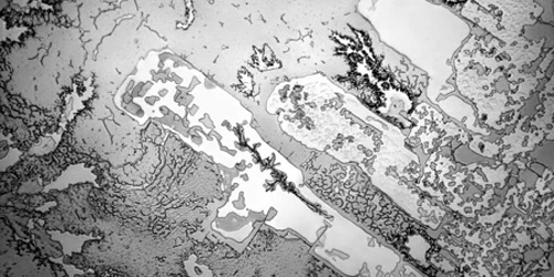 lacrimi microscop
