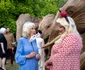 Regele Charles și Regina Camilla la Balul Animalelor, Foto Getty 