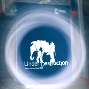 raport Conferinta de securiate de la Munchen 2026  jpg