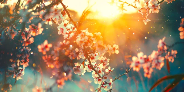 Primavara copaci flori FOTO Shutterstock jpg