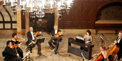 concert carei