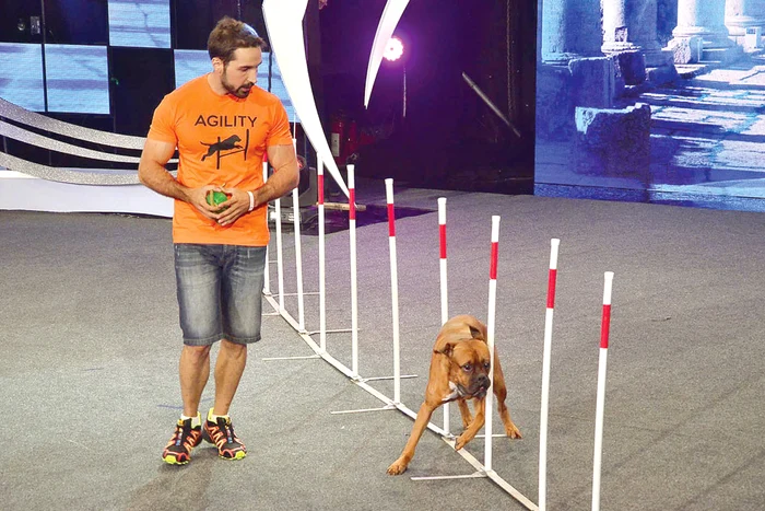 
    Tudor Tim Ionescu, alias porno-Tudy, participă cu câinele Skip la «Ham Talent», show care debutează mâine, la postul din Băneasa. Se bate pentru 10.000 €  