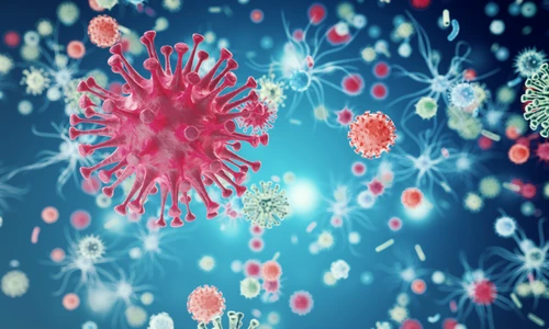 1 shutterstock 559007371 jpg jpeg