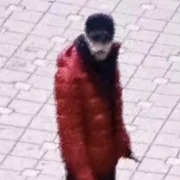 image png