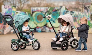 bebelorelli triciclete de impins png