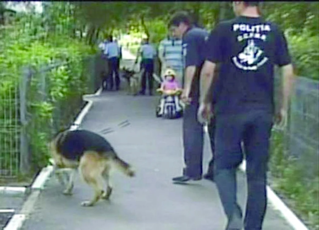 Hoţii au fost căutaţi prin parc cu câini-poliţişti