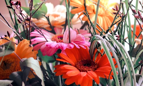 buchet de flori jpeg