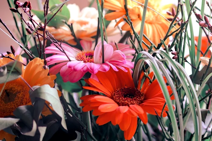 
    Un buchet de flori este cel mai frumos cadou pentru mama  