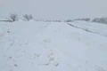 vremea jpg