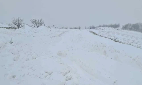 vremea jpg