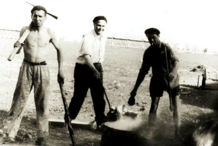 Corneliu Coposu, la munca, in timpul domiciliului obligatoriu, Valea Calmatui, 1963