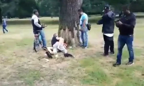 couple spotted having sex in a park in berlin jpeg