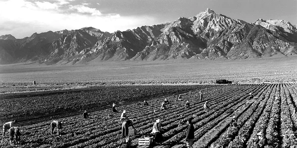 fermieri   Ansel Adams   Farm workers and Mt  Williamson jpg