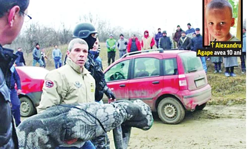 6 alexandru ucis jpeg