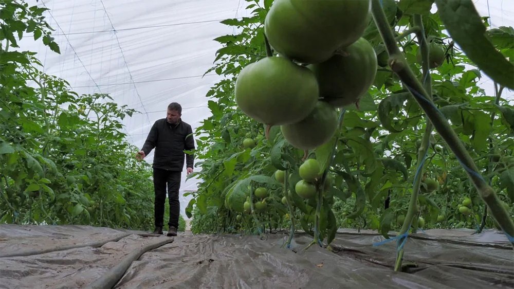 Construcţia primelor centre de colectare legume-fructe începe în acest an. Unde vor fi amplasate