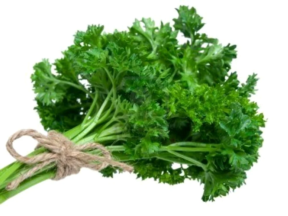 
    Plantele îţi sunt de mare ajutor dacă vrei să te laşi de fumat sau să îţi detoxifiezi plămânii  