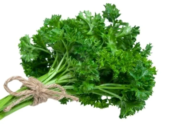 
    Plantele îţi sunt de mare ajutor dacă vrei să te laşi de fumat sau să îţi detoxifiezi plămânii  