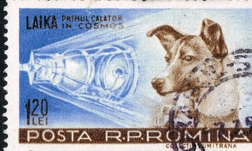 3 noiembrie 2017– comemorarea unei eroine sovietice jpeg