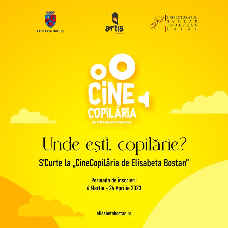 Sursa: Asociatia ARTIS din Iasi