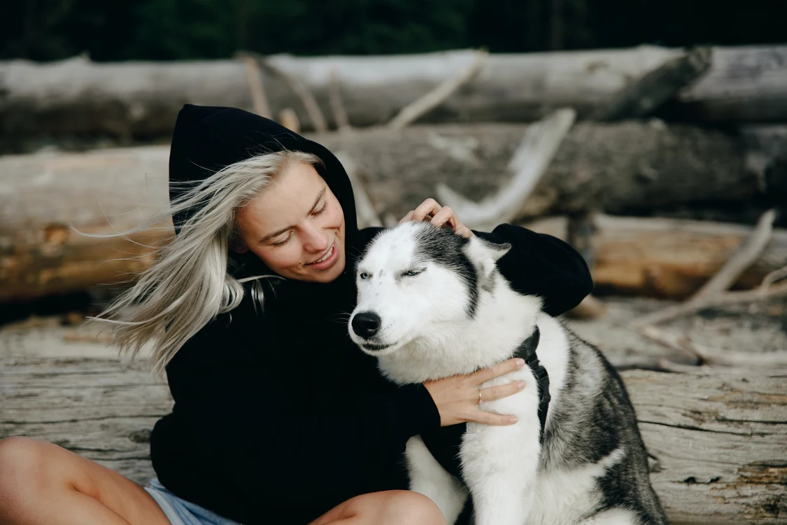 Câinii au nevoie de atenție  FOTO pexels.com