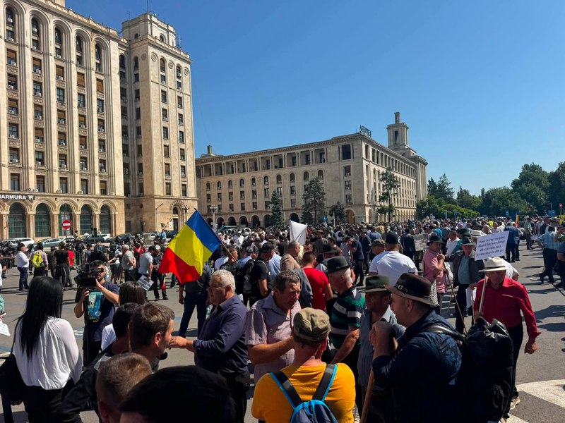Oierii ies din nou în stradă: „Noi, ciobanii, decontăm totul”. Exporturile de oi și capre, blocate până la sfârșitul anului