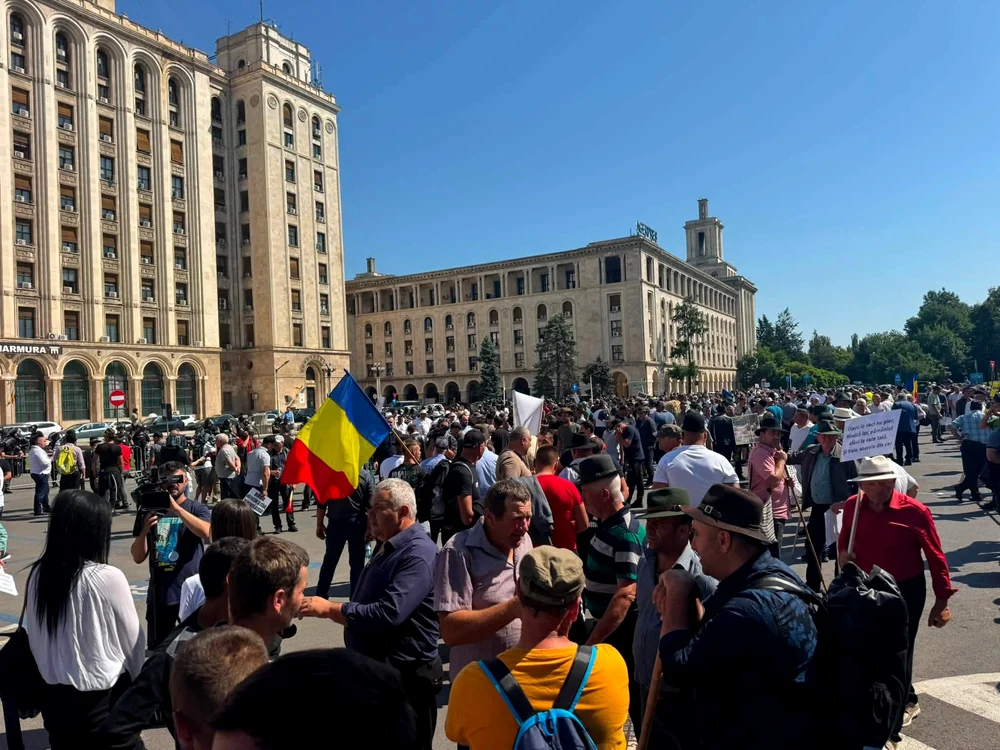 mulțime_la_protest_zi_vara_in_fata_cladirii_guvernului-Foto_arhiva_constanta_ștefan
