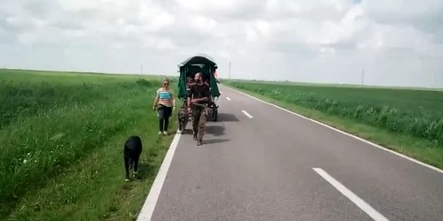 Calatori cu caruta captura video jpg