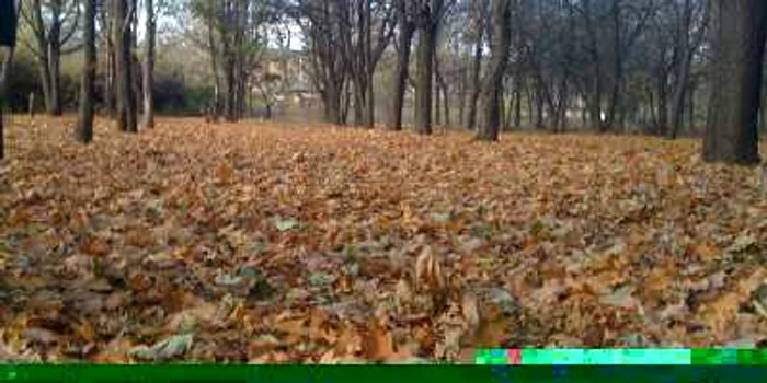 De vineri vremea va începe să se răcescă