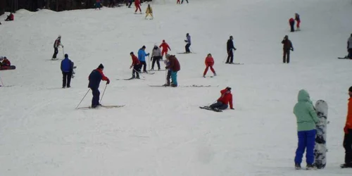 partie cavnic