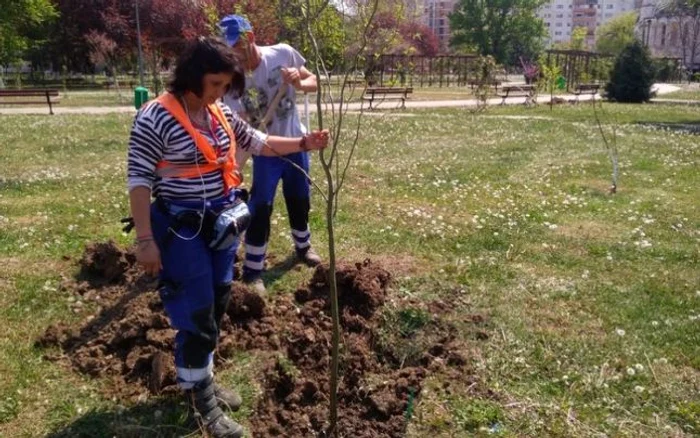 Foto: Primăria Hunedoara.