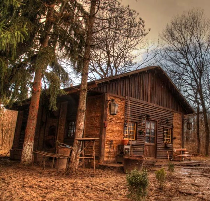 «Ferma Vedetelor» începe luni, 9 martie