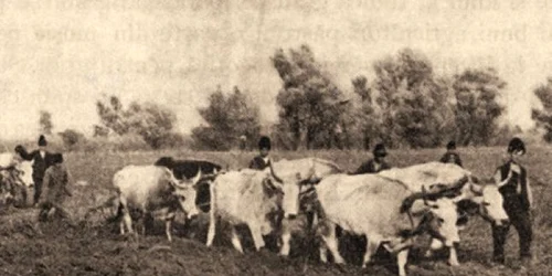 Oare de ce mai existǎ țǎrani ȋn Romȃnia? jpeg