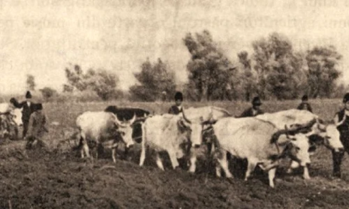 Oare de ce mai existǎ țǎrani ȋn Romȃnia? jpeg