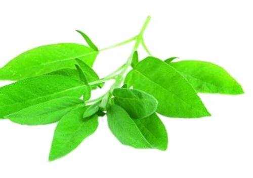 76a547b5d881c62e096ff7bd47fb63d1 jpg jpeg