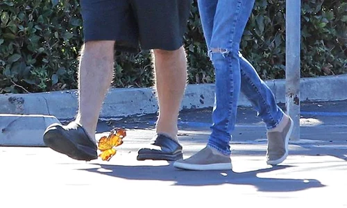 23899125 1847579221951457 2123886911 n jpeg