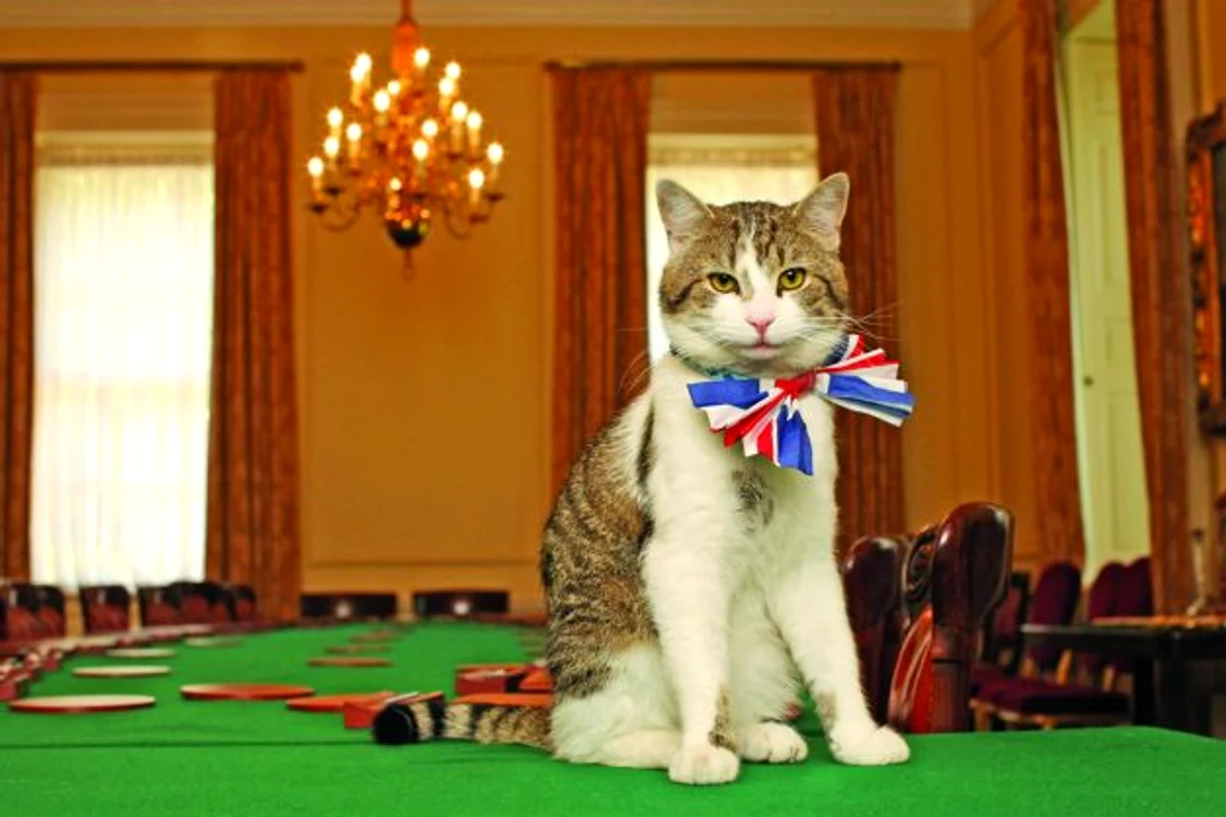 Last exit to Brexit jpeg