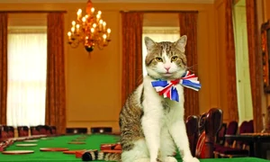 Last exit to Brexit jpeg
