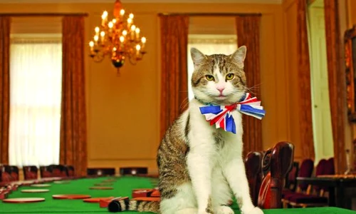 Last exit to Brexit jpeg
